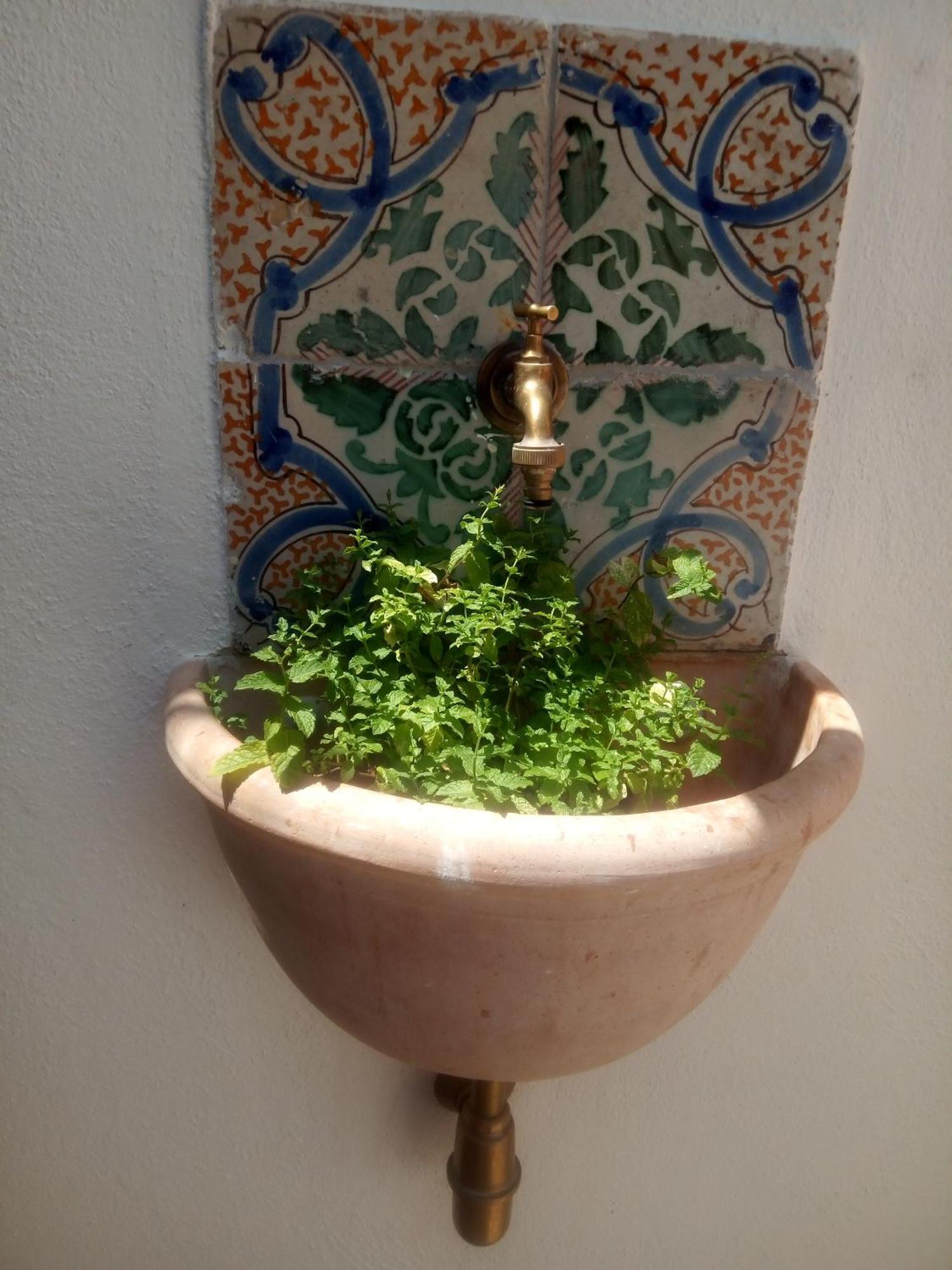 Il Terrazzino Sul Kemonia Appartement Palermo Buitenkant foto